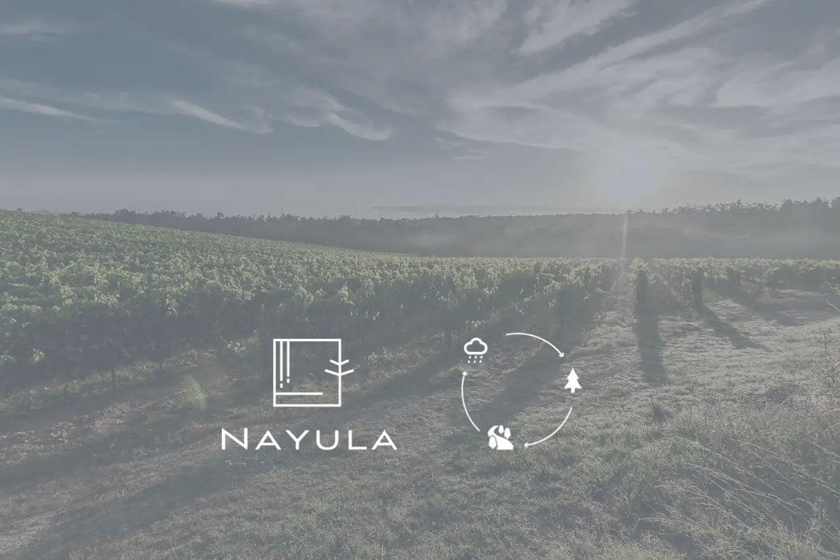 The Story of NAYULA