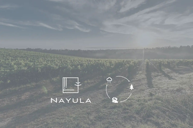 The Story of NAYULA
